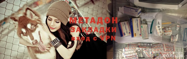 стафф Аркадак