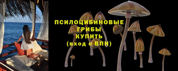 трава Армянск