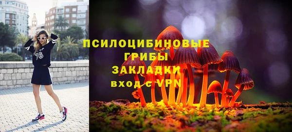 трава Армянск
